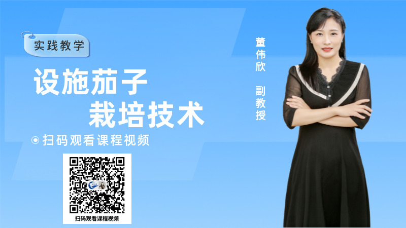 董偉欣